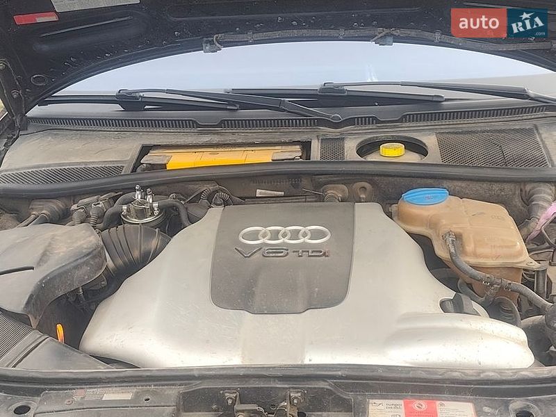 Универсал Audi A6 2000 в Шполе