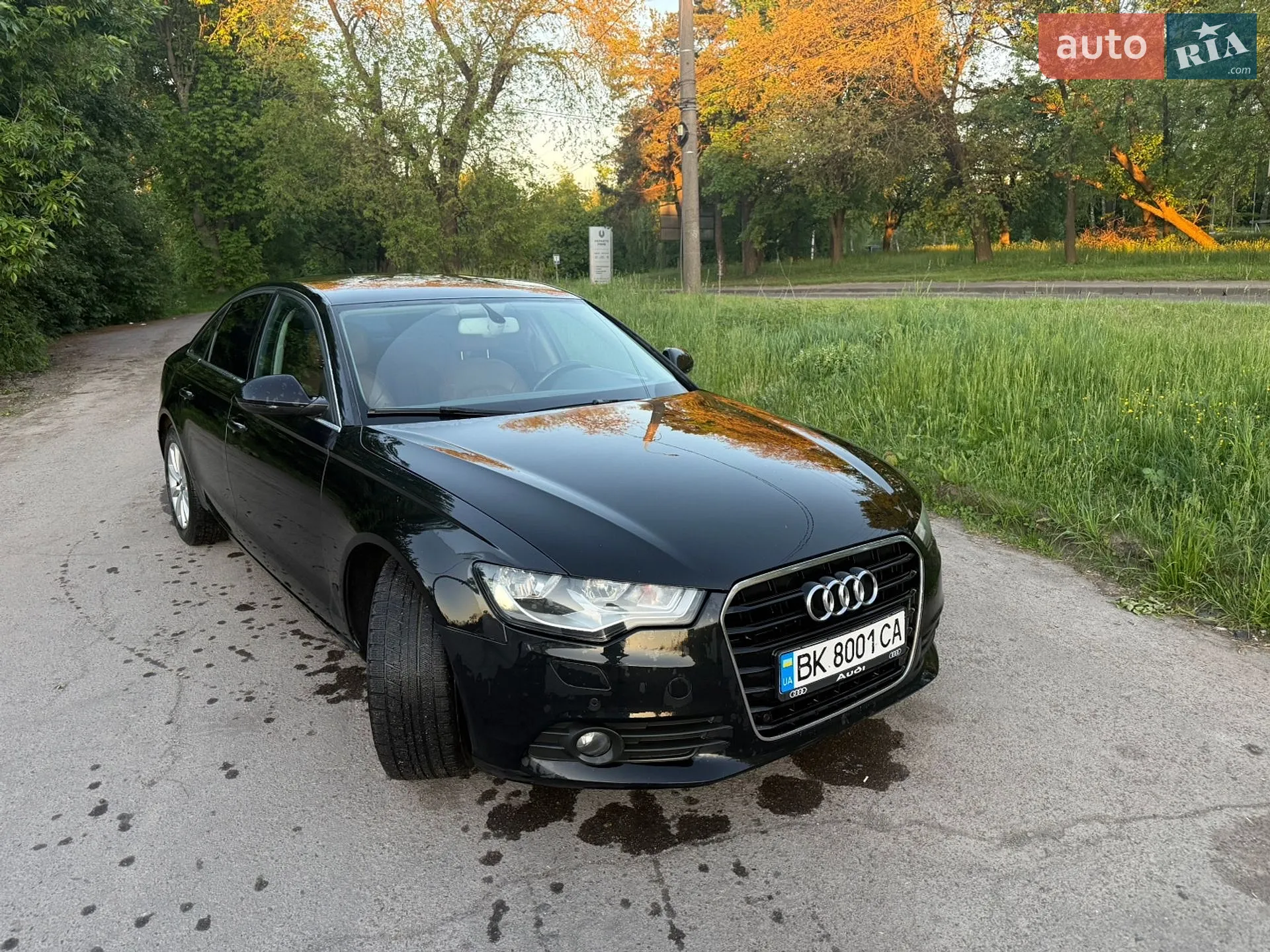 2013 Audi A6 - фото 1