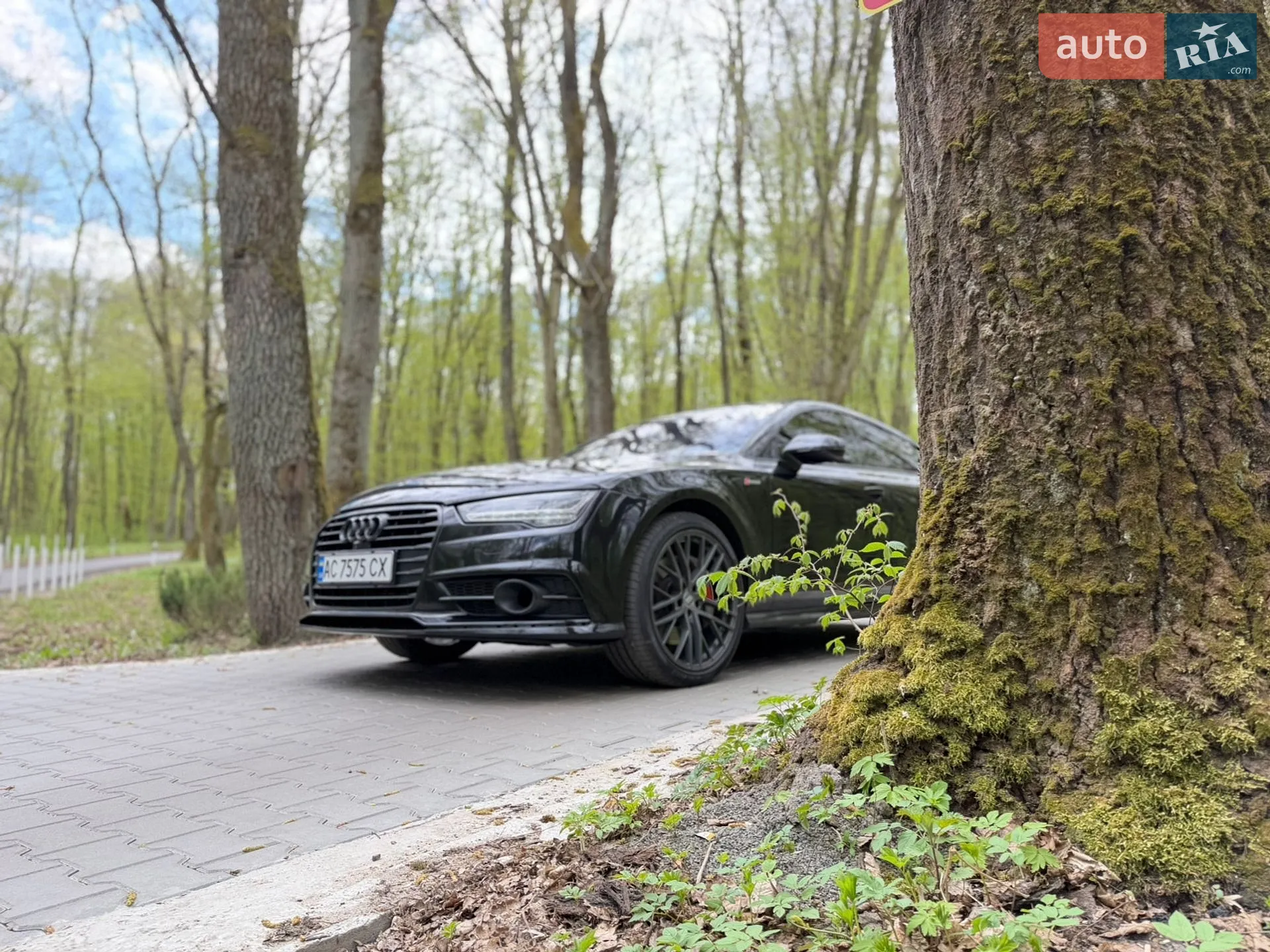 2011 Audi A7 - мініатюра 7