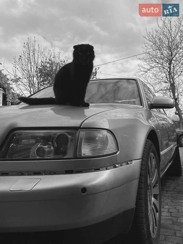 Седан Audi A8 1998 в Василькове
