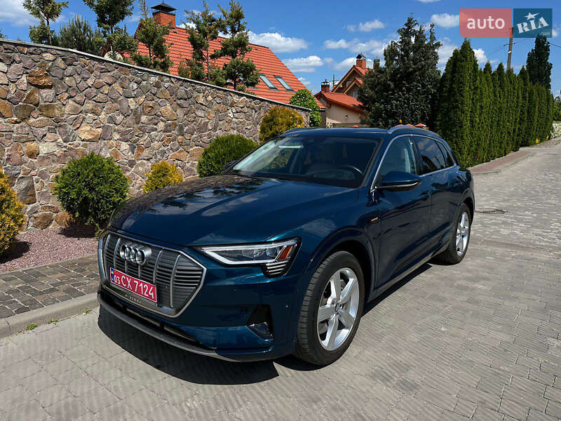 Внедорожник / Кроссовер Audi e-tron 2019 в Горохове фото 12 Внедорожник / Кроссовер Audi e-tron 2019 в Горохове