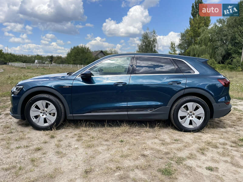 Позашляховик / Кросовер Audi e-tron 2019 в Житомирі