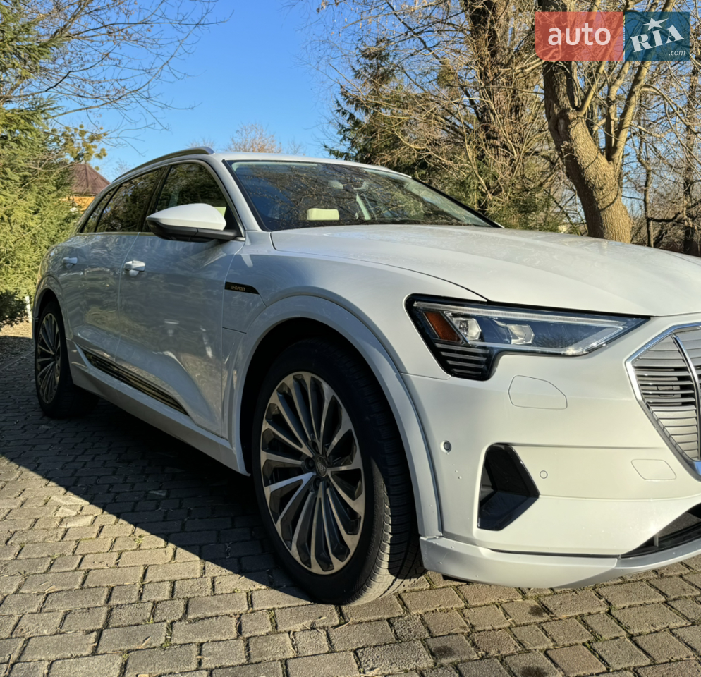 2019 Audi e-tron - мініатюра 94