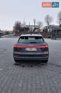 Внедорожник / Кроссовер Audi e-tron 2019 в 