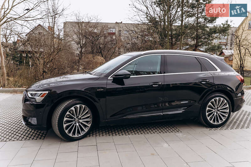 Внедорожник / Кроссовер Audi e-tron 2019 в Самборе фото 12 Внедорожник / Кроссовер Audi e-tron 2019 в Самборе