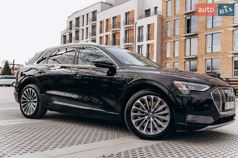 Внедорожник / Кроссовер Audi e-tron 2019 в Самборе фото 30 Внедорожник / Кроссовер Audi e-tron 2019 в Самборе
