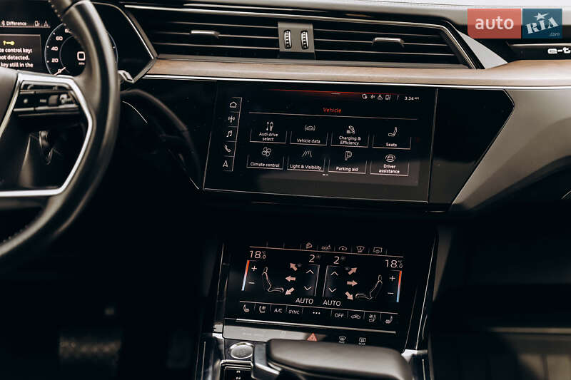 Внедорожник / Кроссовер Audi e-tron 2019 в Самборе фото 66 Внедорожник / Кроссовер Audi e-tron 2019 в Самборе