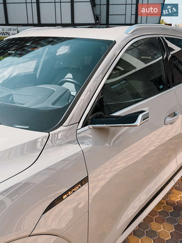 Внедорожник / Кроссовер Audi e-tron 2019 в Одессе фото 26 Внедорожник / Кроссовер Audi e-tron 2019 в Одессе