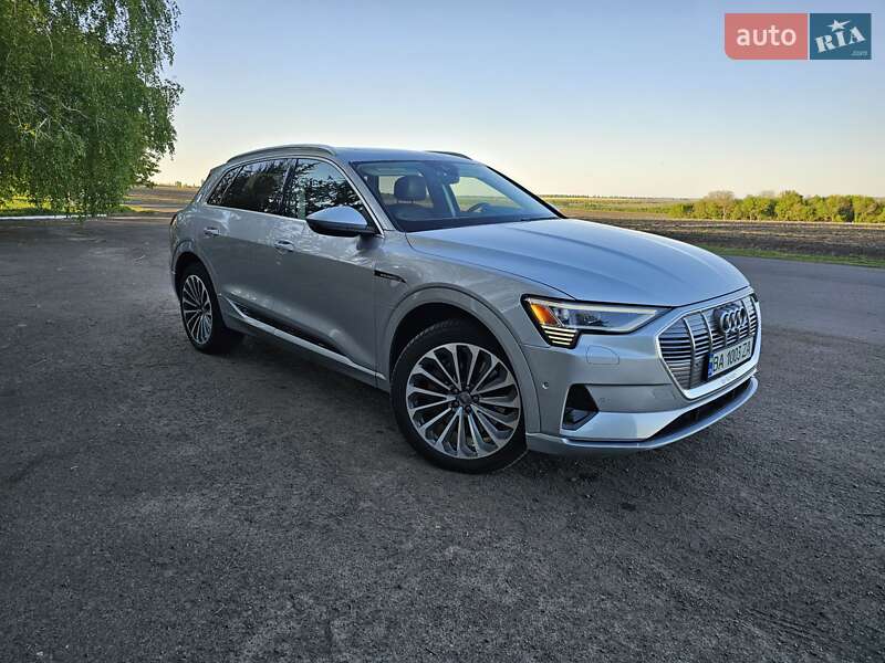 Позашляховик / Кросовер Audi e-tron 2019 в Гайвороні