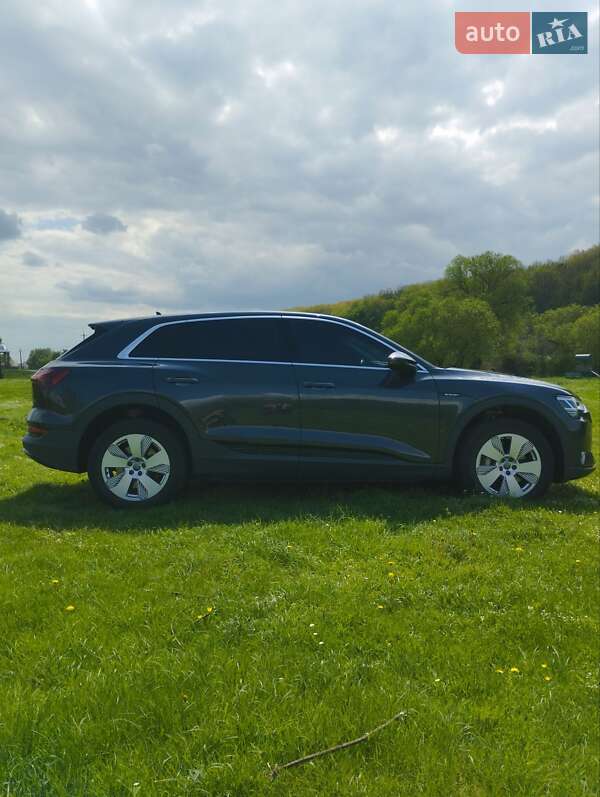 Внедорожник / Кроссовер Audi e-tron 2020 в Тернополе фото 4 Внедорожник / Кроссовер Audi e-tron 2020 в Тернополе
