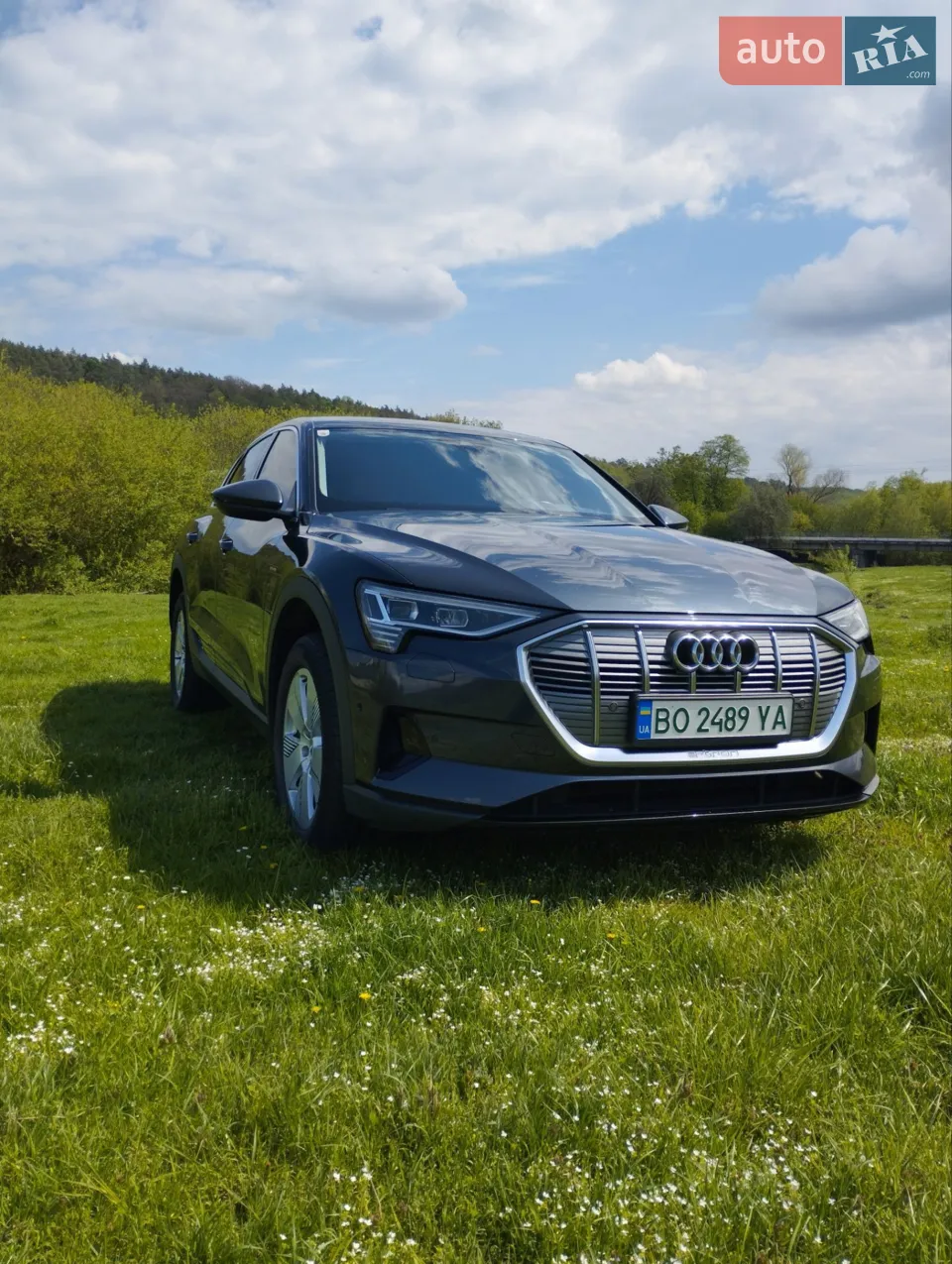 2019 Audi e-tron - мініатюра 55
