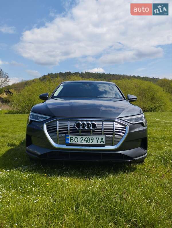 Внедорожник / Кроссовер Audi e-tron 2020 в Тернополе фото 16 Внедорожник / Кроссовер Audi e-tron 2020 в Тернополе