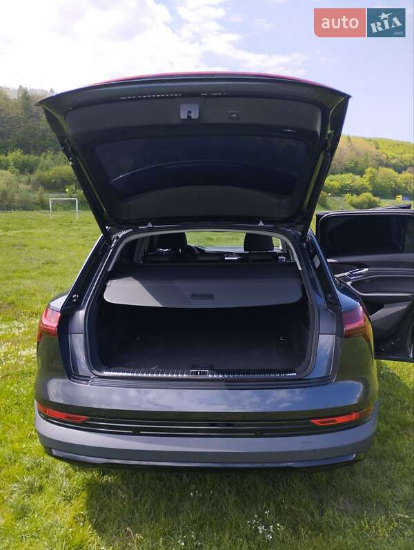 Внедорожник / Кроссовер Audi e-tron 2020 в Тернополе фото 20 Внедорожник / Кроссовер Audi e-tron 2020 в Тернополе