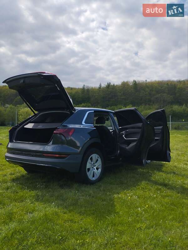 Внедорожник / Кроссовер Audi e-tron 2020 в Тернополе фото 22 Внедорожник / Кроссовер Audi e-tron 2020 в Тернополе