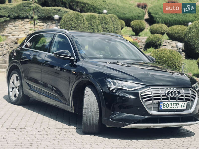 Позашляховик / Кросовер Audi e-tron 2022 в Заліщиках