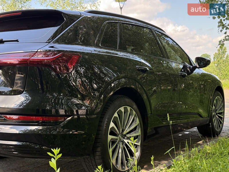 Внедорожник / Кроссовер Audi e-tron 2019 в Дрогобыче фото 18 Внедорожник / Кроссовер Audi e-tron 2019 в Дрогобыче