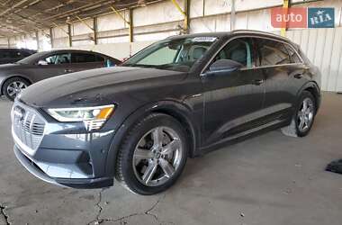 Audi e-tron 2019