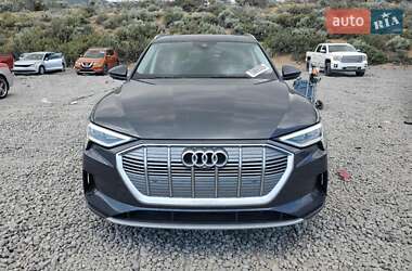 Позашляховик / Кросовер Audi e-tron 2019 в 