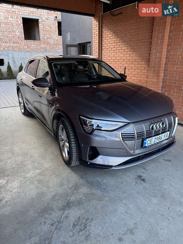 Внедорожник / Кроссовер Audi e-tron 2019 в Черновцах фото 7 Внедорожник / Кроссовер Audi e-tron 2019 в Черновцах