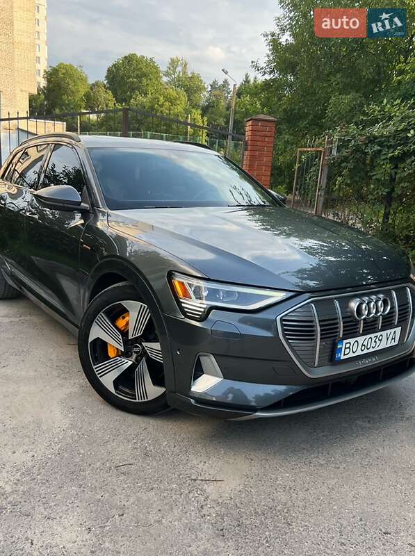 Внедорожник / Кроссовер Audi e-tron 2019 в Бучаче фото 2 Внедорожник / Кроссовер Audi e-tron 2019 в Бучаче