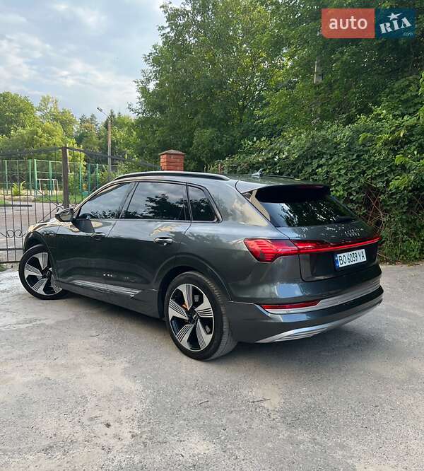 Внедорожник / Кроссовер Audi e-tron 2019 в Бучаче фото 13 Внедорожник / Кроссовер Audi e-tron 2019 в Бучаче
