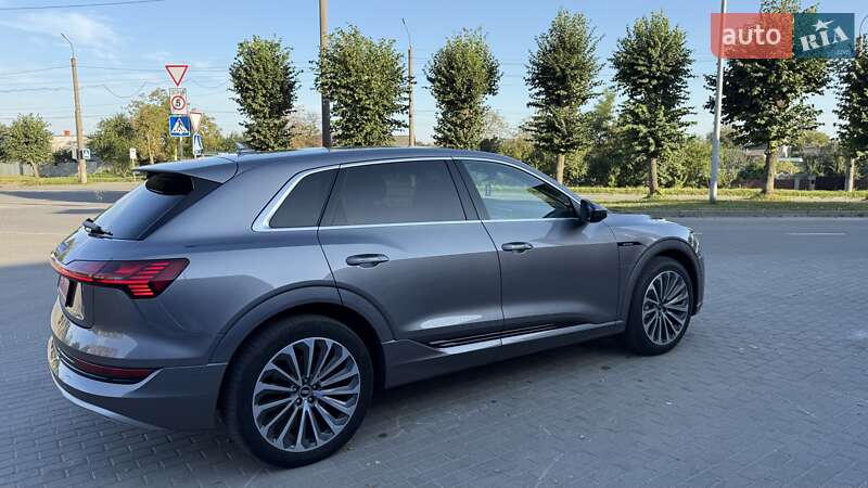 Внедорожник / Кроссовер Audi e-tron 2020 в Шепетовке фото 3 Внедорожник / Кроссовер Audi e-tron 2020 в Шепетовке
