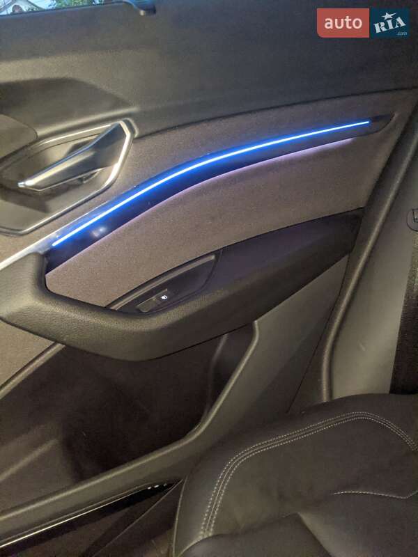 Внедорожник / Кроссовер Audi e-tron 2020 в Шепетовке фото 38 Внедорожник / Кроссовер Audi e-tron 2020 в Шепетовке