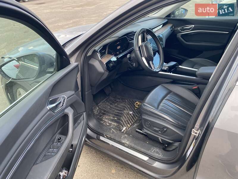 Внедорожник / Кроссовер Audi e-tron 2019 в Луцке фото 10 Внедорожник / Кроссовер Audi e-tron 2019 в Луцке