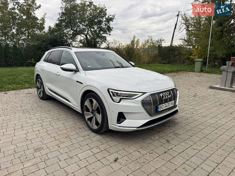 Внедорожник / Кроссовер Audi e-tron 2018 в Бучаче фото 18 Внедорожник / Кроссовер Audi e-tron 2018 в Бучаче