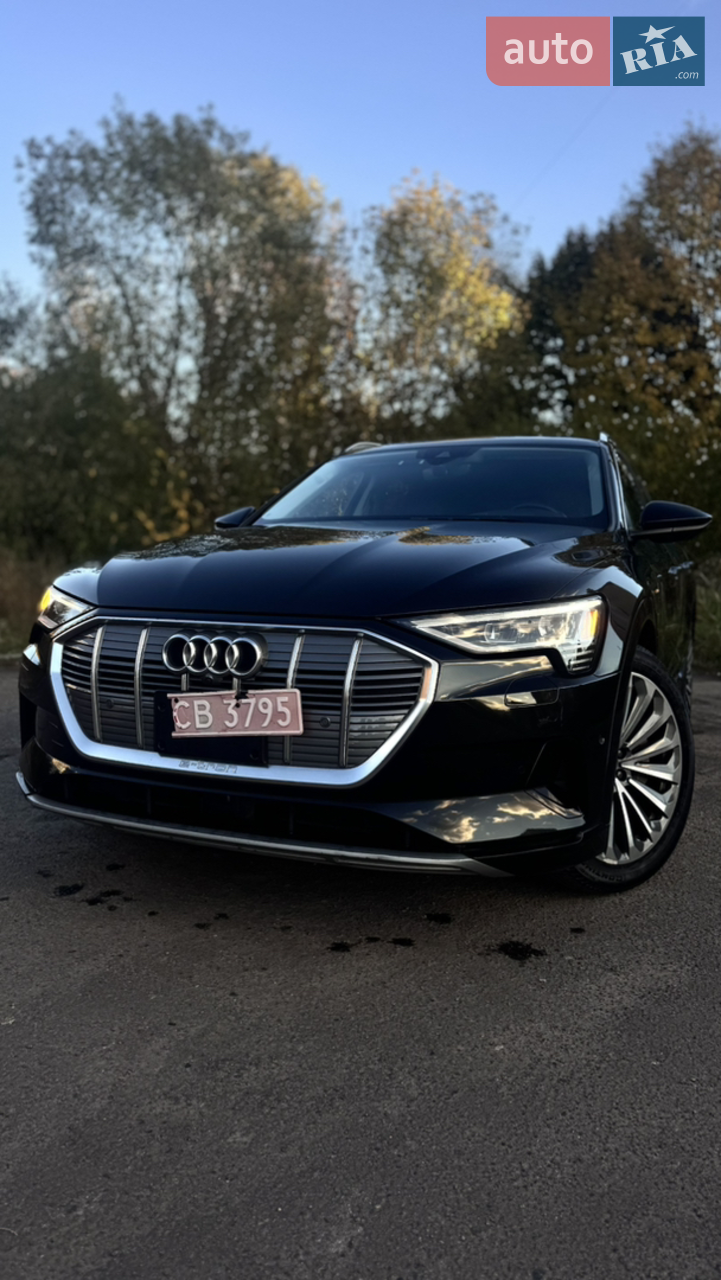 2019 Audi e-tron - мініатюра 16