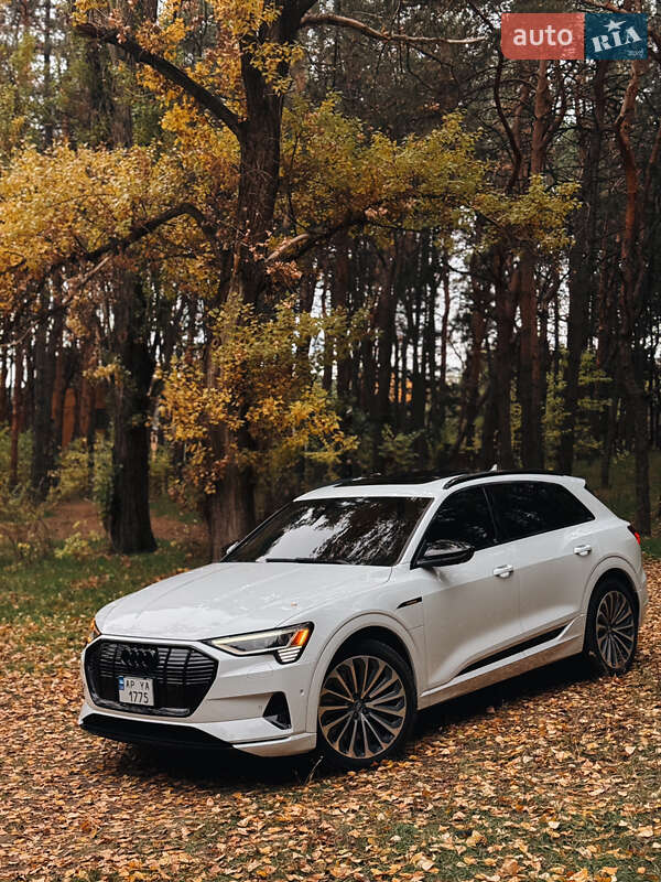 Внедорожник / Кроссовер Audi e-tron 2019 в Запорожье фото 4 Внедорожник / Кроссовер Audi e-tron 2019 в Запорожье