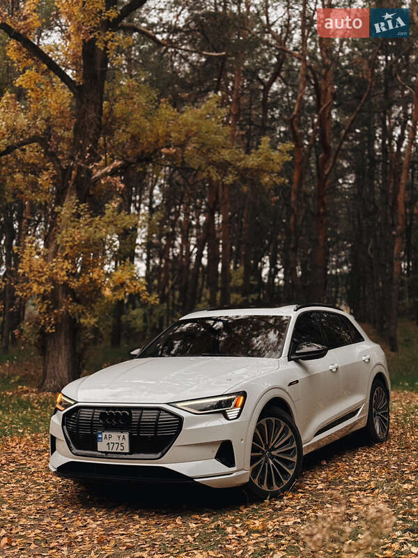 Внедорожник / Кроссовер Audi e-tron 2019 в Запорожье фото 11 Внедорожник / Кроссовер Audi e-tron 2019 в Запорожье