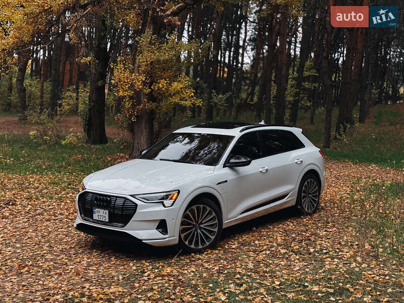 Внедорожник / Кроссовер Audi e-tron 2019 в Запорожье фото 14 Внедорожник / Кроссовер Audi e-tron 2019 в Запорожье