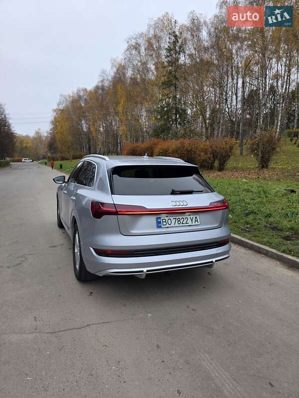 Внедорожник / Кроссовер Audi e-tron 2020 в Тернополе фото 10 Внедорожник / Кроссовер Audi e-tron 2020 в Тернополе