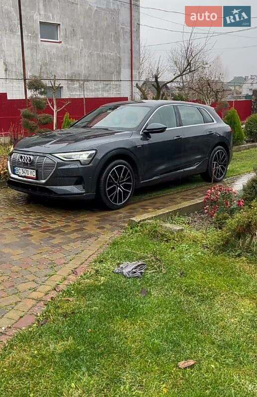 Позашляховик / Кросовер Audi e-tron 2019 в Шептицькому фото 3 Позашляховик / Кросовер Audi e-tron 2019 в Шептицькому