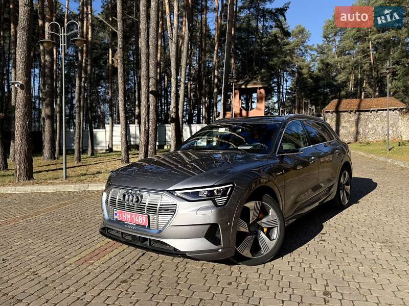 Внедорожник / Кроссовер Audi e-tron 2019 в Новояворовске фото 2 Внедорожник / Кроссовер Audi e-tron 2019 в Новояворовске
