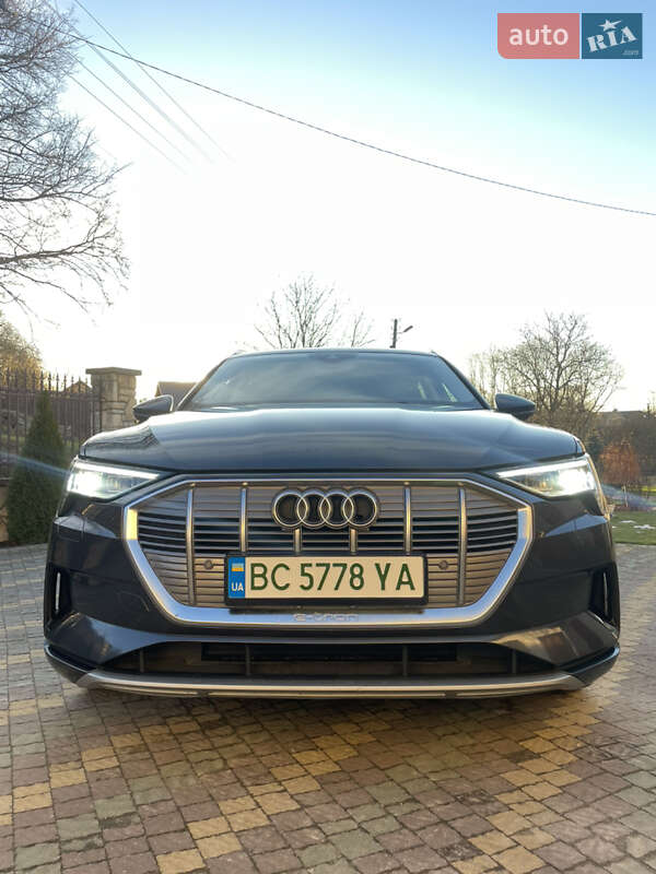Внедорожник / Кроссовер Audi e-tron 2020 в Самборе фото 50 Внедорожник / Кроссовер Audi e-tron 2020 в Самборе
