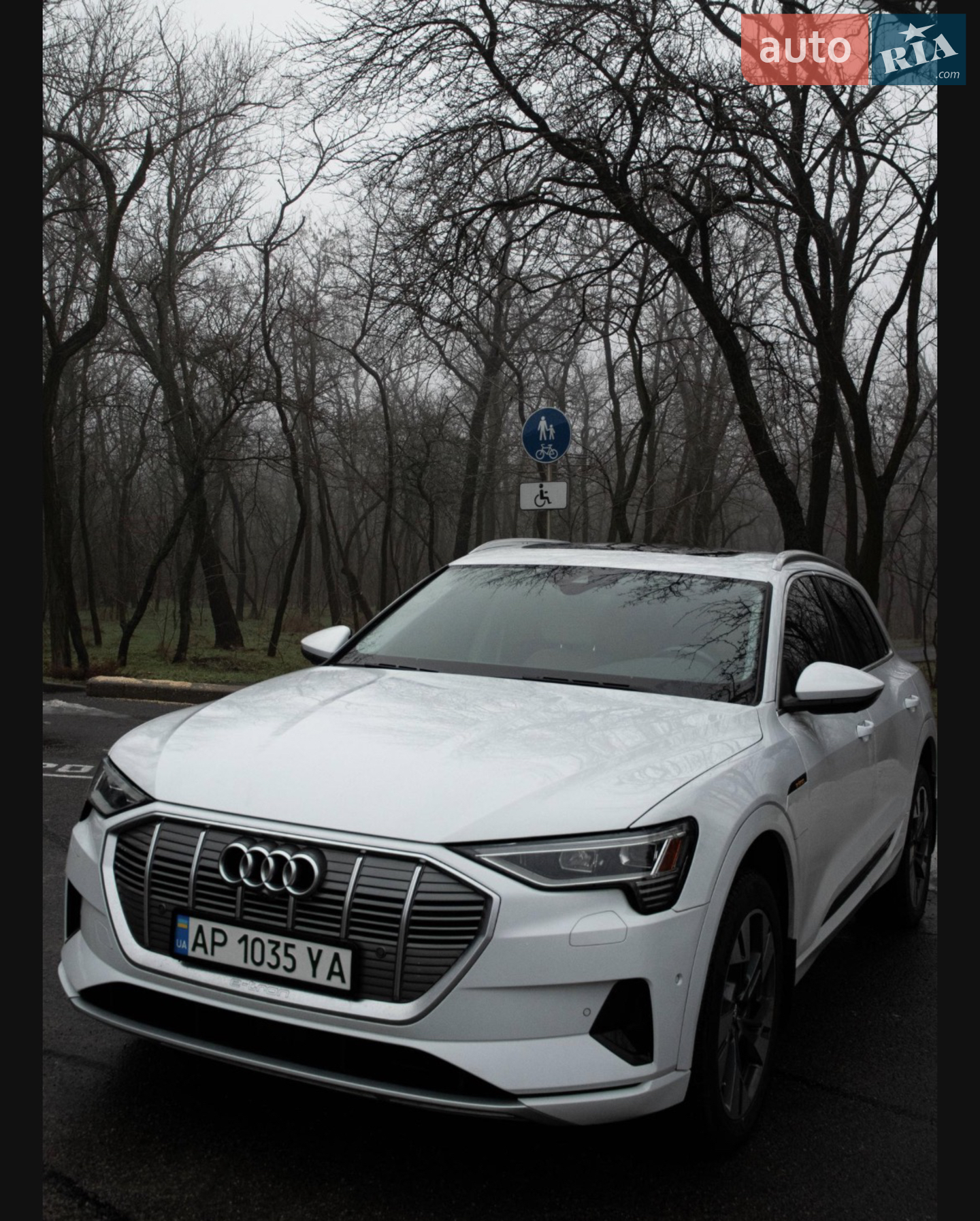 2019 Audi e-tron - фото 1