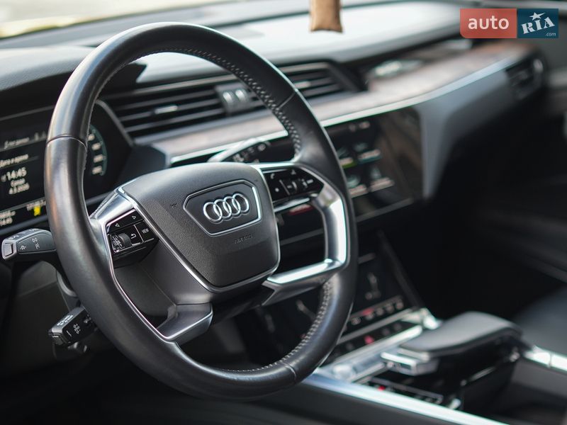 Внедорожник / Кроссовер Audi e-tron 2019 в Вараше фото 6 Внедорожник / Кроссовер Audi e-tron 2019 в Вараше