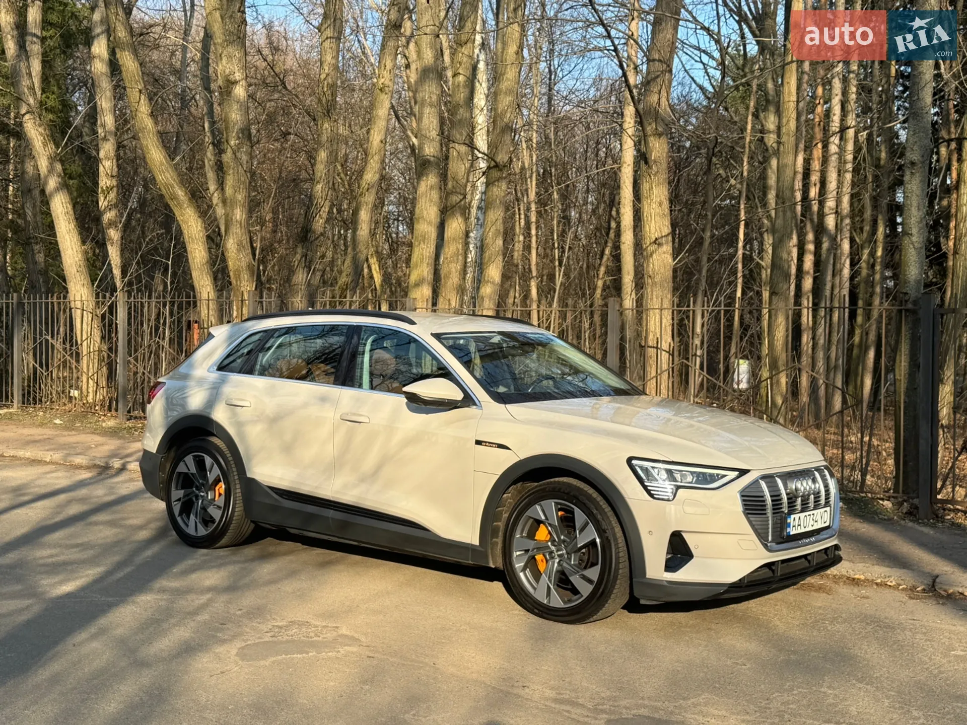 Audi e-tron 2019