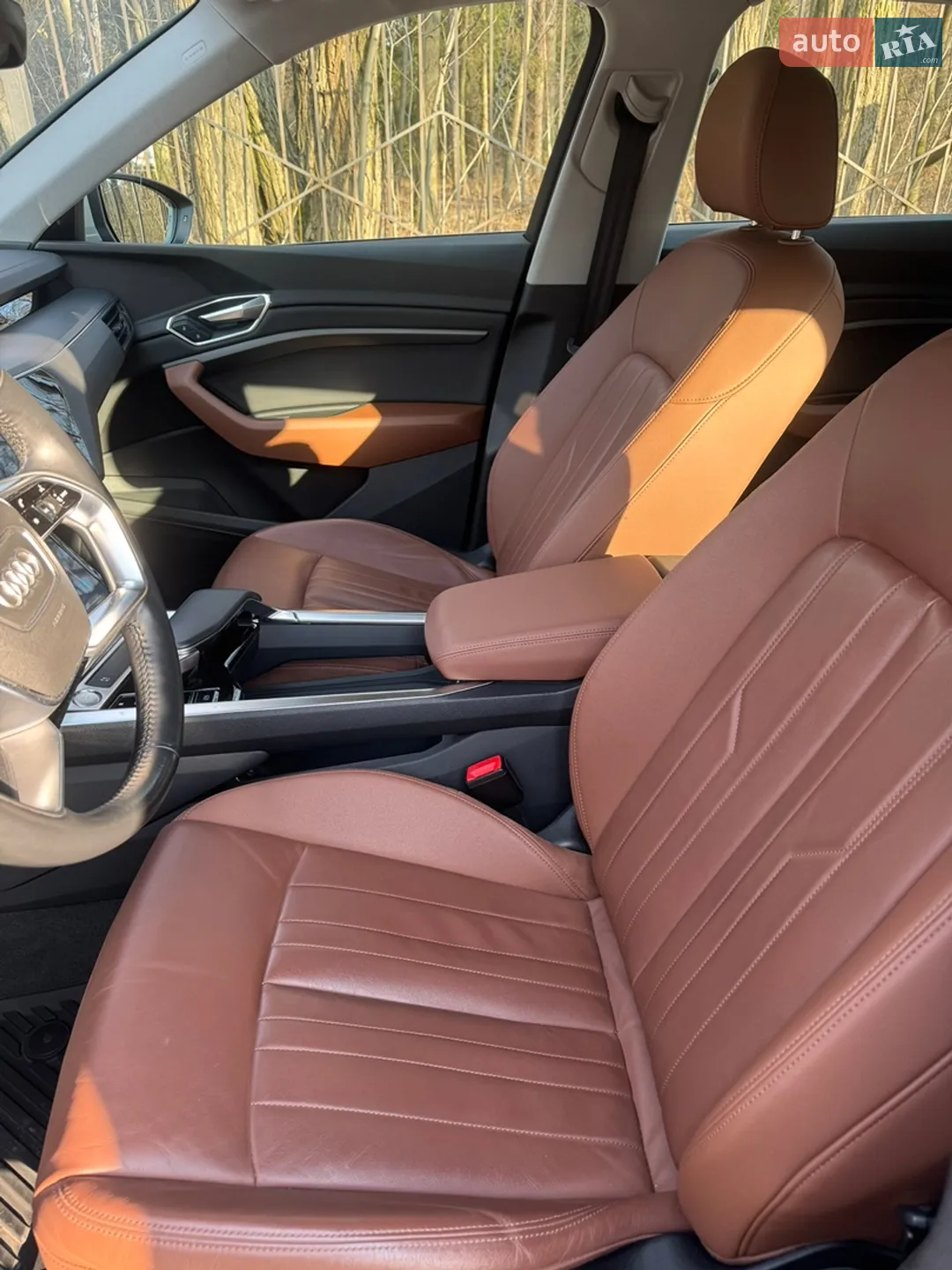 2019 Audi e-tron - мініатюра 20