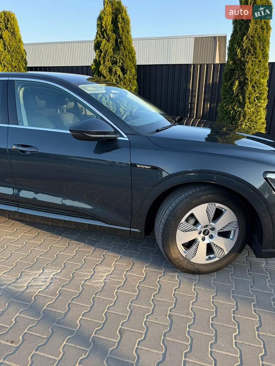 2019 Audi e-tron - мініатюра 9