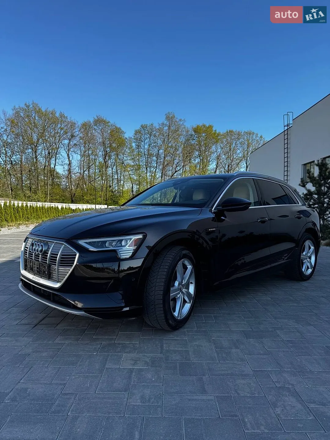 2019 Audi e-tron - мініатюра 3
