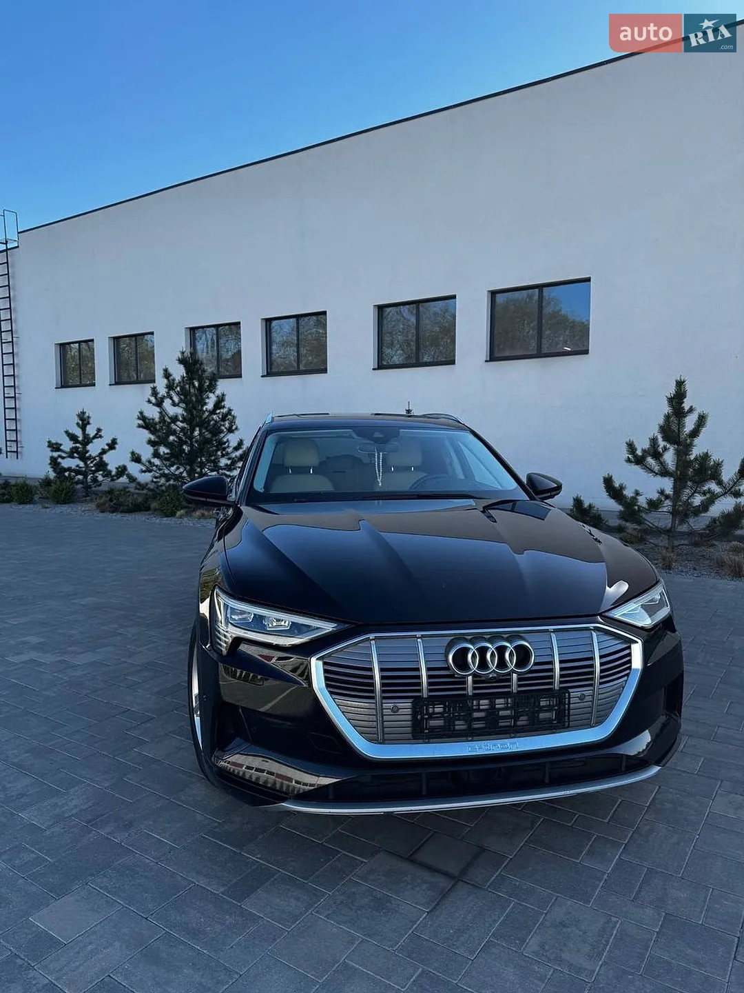 2019 Audi e-tron - мініатюра 7
