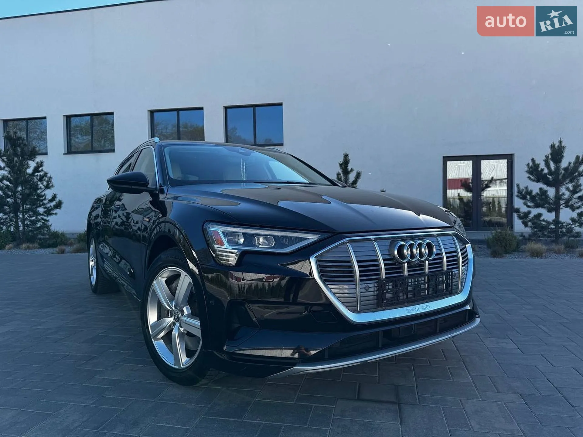 2019 Audi e-tron - фото 1