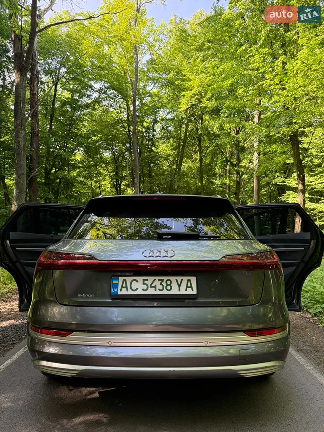 2019 Audi e-tron - мініатюра 4
