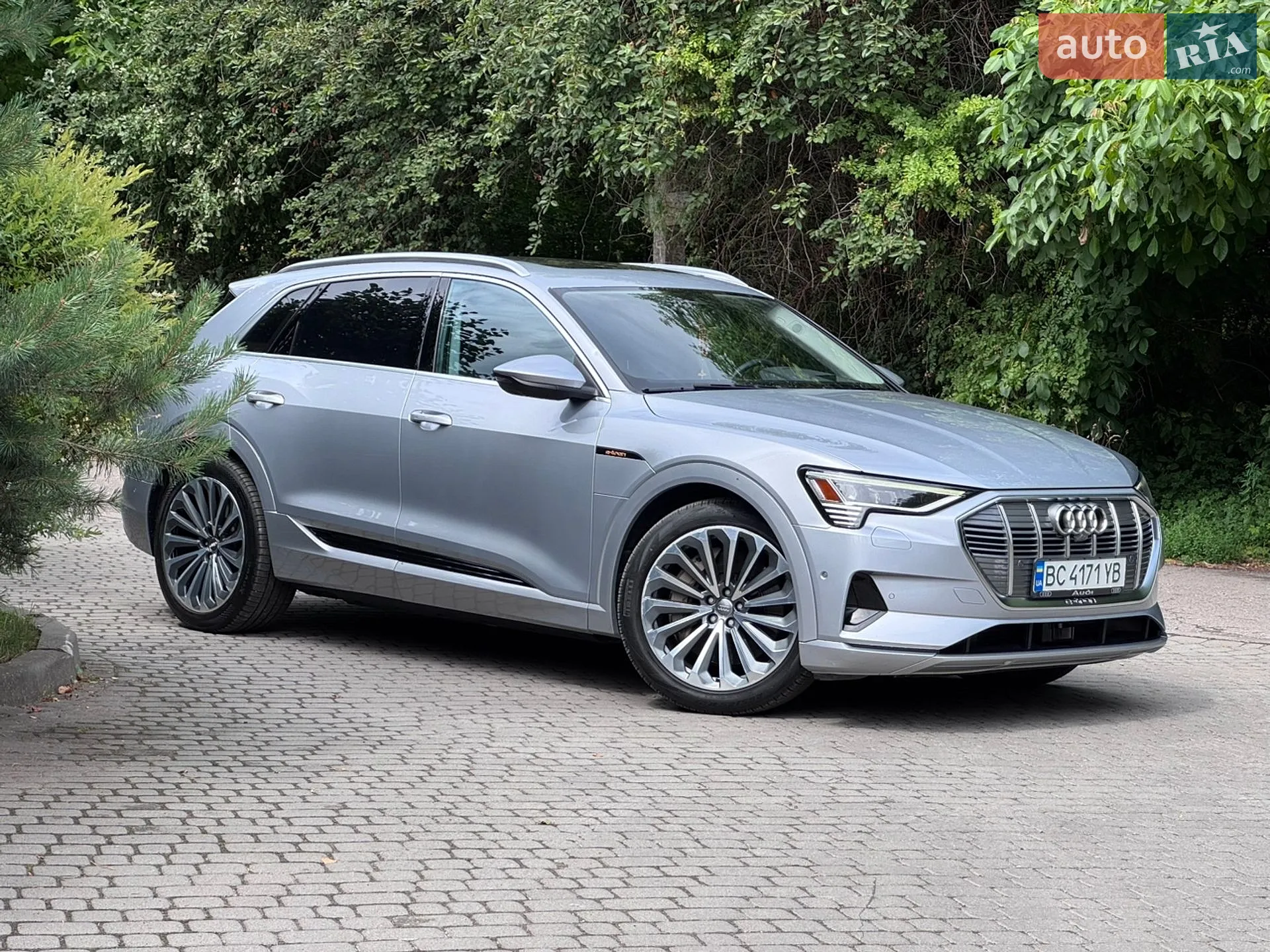 2019 Audi e-tron - фото 1