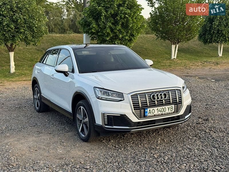 Внедорожник / Кроссовер Audi Q2L e-tron 2021 в Мукачево