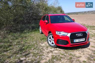 Внедорожник / Кроссовер Audi Q3 2017 в 