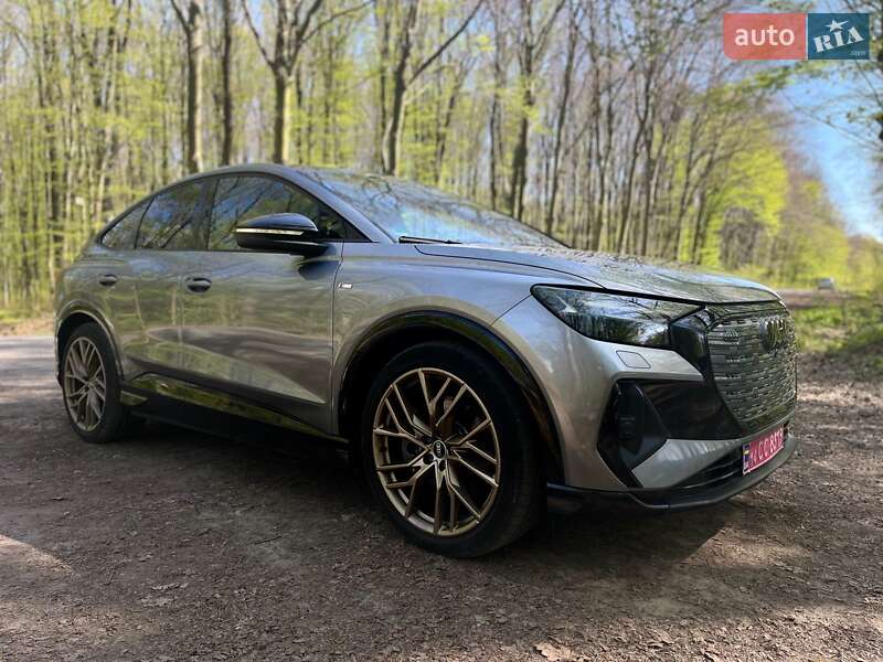 2022 Audi Q4-E-Tron, VIN WAUZZZFZ5NP029818:plate — фото 1 (autoria)